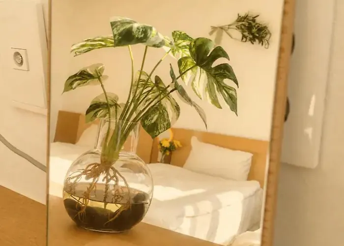 New Open Morie Jongno 301 Hostal